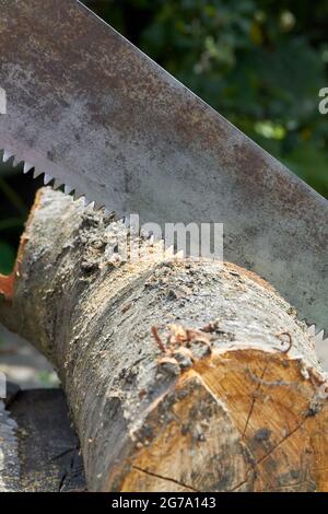 Grenaille verticale ancienne scie rouillée pour couper la bûche de l'arbre. Banque D'Images