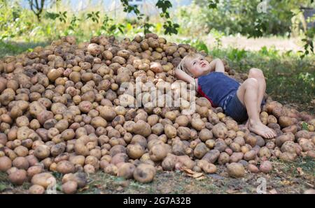 Un joli garçon pieds nus dans un t-shirt et un short se trouve sur une grande pile de pommes de terre fraîchement creusées. Regarde le ciel. Bonne récolte, peu d'aide, jeux de ferme. Har Banque D'Images