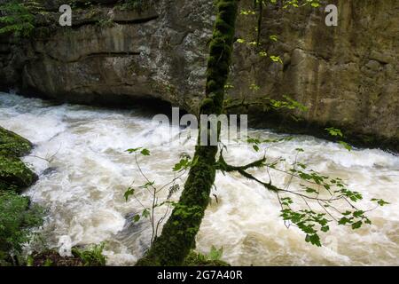 Monde de l'eau dans la gorge de l'Areuse Banque D'Images