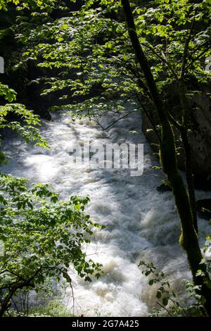 Monde de l'eau dans la gorge de l'Areuse Banque D'Images