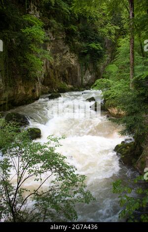 Monde de l'eau dans la gorge de l'Areuse Banque D'Images