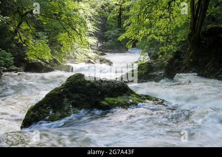 Monde de l'eau dans la gorge de l'Areuse Banque D'Images