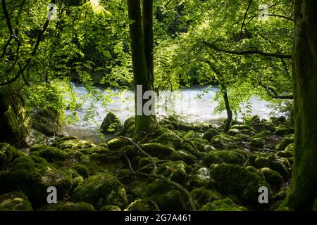 Monde de l'eau dans la gorge de l'Areuse Banque D'Images