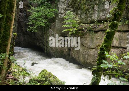 Monde de l'eau dans la gorge de l'Areuse Banque D'Images