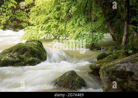 Monde de l'eau dans la gorge de l'Areuse Banque D'Images