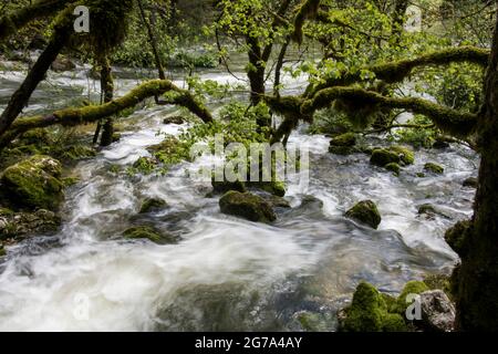 Monde de l'eau dans la gorge de l'Areuse Banque D'Images