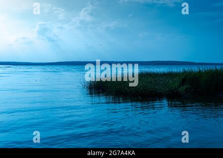 Un îlot d'herbe en croissance à la surface du lac. La photo a été prise sur la rive du réservoir de Shershnevsky à Chelyabinsk. Banque D'Images