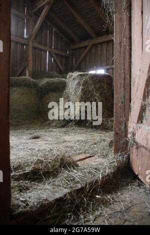 Stockage de foin dans la ferme, foin, balles rondes pour l'alimentation des animaux, haute-Bavière Banque D'Images