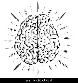 Cerveau humain avec la foudre autour. Remue-méninges créatifs dans un style d'esquisse. Illustration vectorielle. Illustration de Vecteur