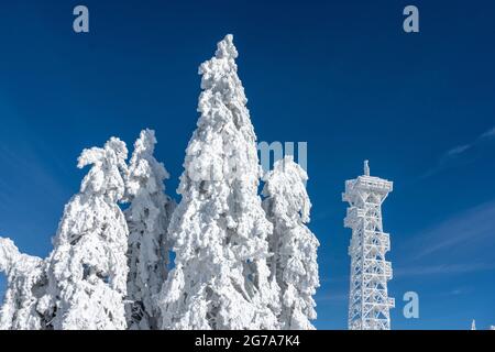 Allemagne, Bade-Wurtemberg, Forêt-Noire, Hornisgrinde, mât radio Telekom. Banque D'Images