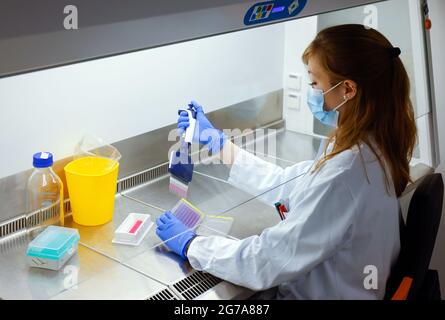 Bonn, Rhénanie-du-Nord-Westphalie, Allemagne - recherche dans le domaine de l'immunologie et de l'infectiologie au Centre biomédical II de l'Hôpital universitaire bon Banque D'Images