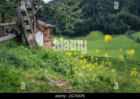 La chapelle Saint Johann descend la vallée du Val di Funes dans le Tyrol du Sud, en Italie. Champ de fleurs sommer fleur en premier plan Banque D'Images