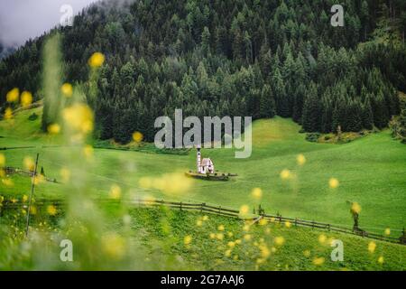 La chapelle Saint Johann dans la vallée du Val di Funes, Tyrol du Sud, Italie. Fleur de sommer dans le champ de premier plan Banque D'Images