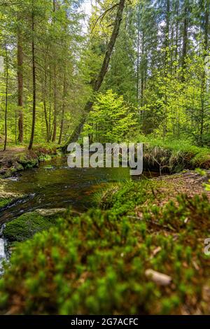 Sentier de randonnée sur la rivière Weißer main près de Bischofsgrün dans le Fichtelgebirge, haute-Franconie, Bavière, Allemagne Banque D'Images