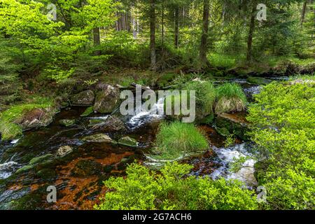 Rivière Weißer main près de Bischofsgrün dans le Fichtelgebirge, haute-Franconie, Bavière, Allemagne Banque D'Images