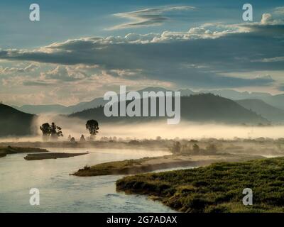 Brume matinale, rivière Snake, Buffalo Valley, près de Moran, Wyoming, États-Unis Banque D'Images