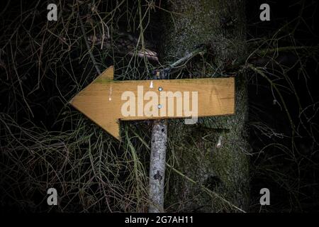 Une flèche en bois sur un bâton indique la direction d'un chemin dans une forêt sombre Banque D'Images