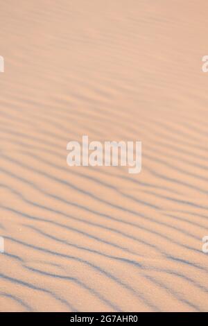 Europe, Danemark, Jutland du Nord. Le sable de la dune mobile Råbjerg Mile dans la lumière du soir. Banque D'Images