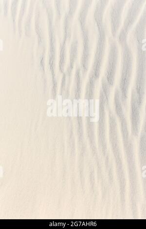 Europe, Danemark, Jutland du Nord. Les dunes de sable au bord de la plantation de fossés de Skagen. Banque D'Images