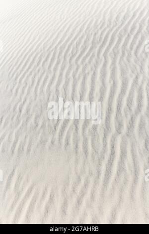 Europe, Danemark, Jutland du Nord. Les dunes de sable au bord de la plantation de fossés de Skagen. Banque D'Images