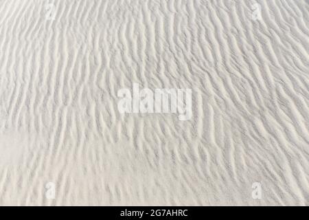 Europe, Danemark, Jutland du Nord. Les dunes de sable au bord de la plantation de fossés de Skagen. Banque D'Images