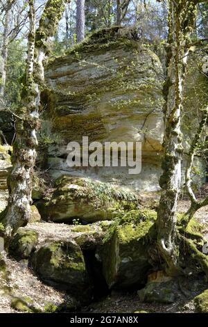 Labyrinthe rocheux sous les ruines du Nordburg Lichtenstein au Lichtenstein, parc naturel de Haßberge, quartier de Hassberge, Basse-Franconie, Franconie, Bavière, Allemagne Banque D'Images