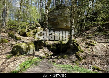 Labyrinthe rocheux sous les ruines du Nordburg Lichtenstein au Lichtenstein, parc naturel de Haßberge, quartier de Hassberge, Basse-Franconie, Franconie, Bavière, Allemagne Banque D'Images