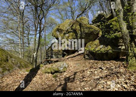 Labyrinthe rocheux sous les ruines du Nordburg Lichtenstein au Lichtenstein, parc naturel de Haßberge, quartier de Hassberge, Basse-Franconie, Franconie, Bavière, Allemagne Banque D'Images