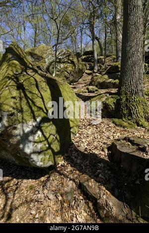 Labyrinthe rocheux sous les ruines du Nordburg Lichtenstein au Lichtenstein, parc naturel de Haßberge, quartier de Hassberge, Basse-Franconie, Franconie, Bavière, Allemagne Banque D'Images