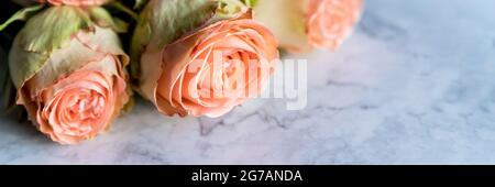 Bouquet de roses pivoines de juliette. Fleurs de corail, fond floral Banque D'Images