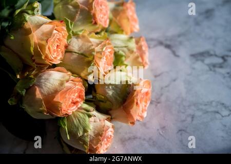 Bouquet de roses pivoines de juliette. Fleurs de corail, fond floral Banque D'Images