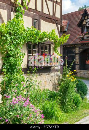 Allemagne, Bade-Wurtemberg, Tübingen-Bebenhausen, fenêtre ornée de décorations florales et de tendrements de vigne sur une maison à colombages Banque D'Images