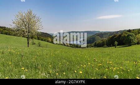 Vue sur le Rursee au printemps, Schöne Aussicht Simmerath, Allemagne Banque D'Images