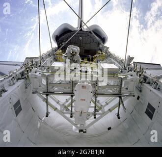 Assemblage de structures dans la baie Payload de la navette spatiale Endeavour. La terre est visible ci-dessous. Les deux astronautes construisent la structure ASEM pendant la quatrième EVA de la mission. La structure ASEM, verrouillée aux quatre coins des ensembles de loquet de retenue de la charge utile (PRLA), se lève au-dessus de la baie de la charge utile. Une version optimisée et améliorée d'une NASA image / crédit NASA Banque D'Images