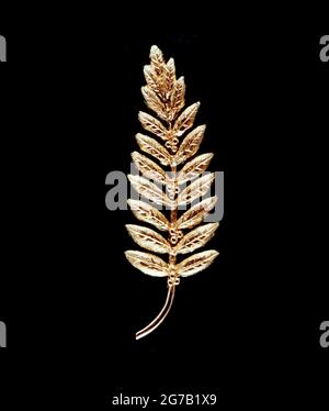 C'est la réplique d'or d'une branche d'olivier, symbole traditionnel de la paix, laissée à la surface de la Lune par les membres d'équipage d'Apollo 11. L'astronaute Neil A. Armstrong, commandant, a placé la petite réplique (moins d'un demi-pied de longueur) sur la Lune. Le geste représentait un désir de paix pour toute l'humanité. Une version unique, optimisée et numériquement améliorée d'une NASA image / crédit NAS. Banque D'Images