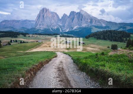 Alpes Dolomiti italiennes. Site de Seiser Alm ou Alpe di Siusi, province de Bolzano, Tyrol du Sud, Italie, Europe Banque D'Images