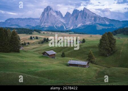 Alpes Dolomiti italiennes. Site de Seiser Alm ou Alpe di Siusi, province de Bolzano, Tyrol du Sud, Italie, Europe Banque D'Images