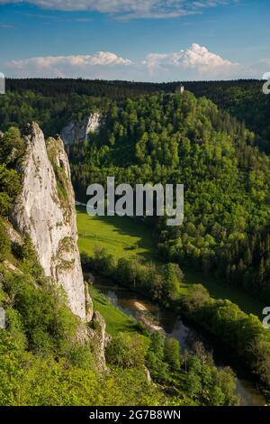 Vue depuis Stiegelesfelsen, près de Fridingen, Parc naturel du Haut Danube, Vallée du Haut Danube, Danube, Alb souabe, Bade-Wurtemberg, Allemagne Banque D'Images