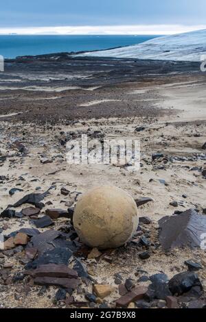 Sphère de pierre géante, île de champ, archipel de la Terre Franz Josef, Russie Banque D'Images