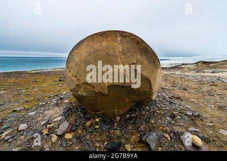 Sphère de pierre géante, île de champ, archipel de la Terre Franz Josef, Russie Banque D'Images