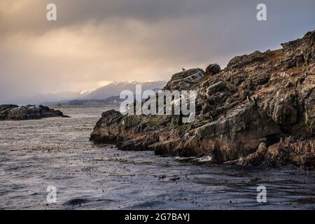 Partie d'une île de roche désertique avec des couches de terre et des oiseaux de mer comme des mouettes et des cormorans à Ushuaia, Tierra del Fuego, Argentine Banque D'Images