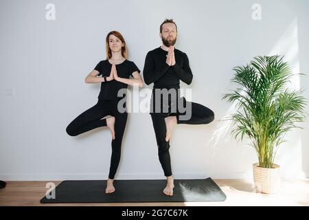 Couple paisible et détendu méditant les uns à côté des autres, en équilibrant sur un seul tapis Banque D'Images