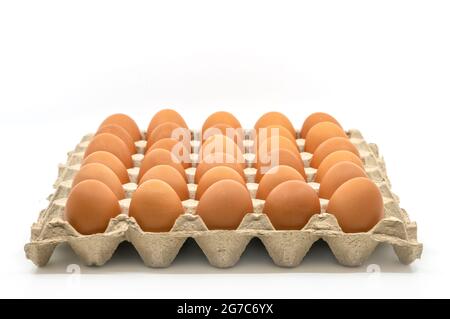 Œufs de poulet frais bio en papier carton emballage en vente sur fond blanc, 30 œufs de poulet frais au total. angle de vue de 40 degrés. Banque D'Images