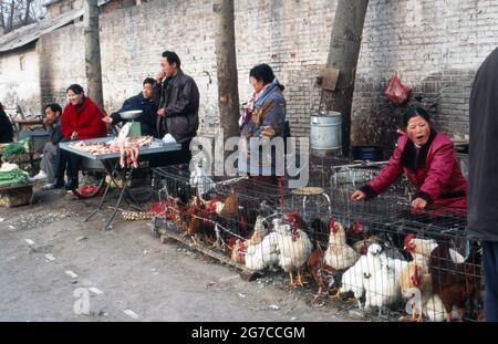 Geflügelverkäufer auf einem Lebensmittelmarkt in der Stadt Xian, Chine 1998. Vendeur de volaille sur un marché de la ville de Xian, Chine 1998. Banque D'Images