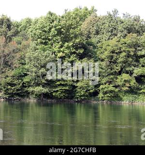 La rivière coule lentement au-dessus de la nature sauvage Banque D'Images