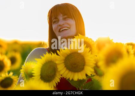 Profitez du coucher du soleil dans Sunflower Field Banque D'Images