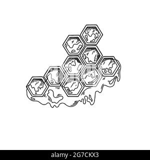 Esquisse de nid d'abeille avec du miel isolé sur un fond blanc. Illustration vectorielle Illustration de Vecteur