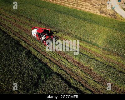 13 juillet 2021, Nanning, Nanning, Chine : le 13 juillet 2021, la moissonneuse a récolté du riz précoce dans le village de Pingfu, la ville de shuangqiao, le district de Wuming, la ville de Nanning, la région autonome de Guangxi Zhuang. (Image crédit: © SIPA Asia via ZUMA Wire) Banque D'Images