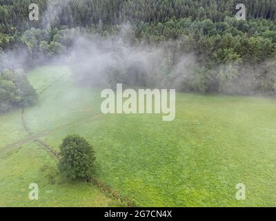 Vue aérienne d'une clairière dans la forêt avec des nuages Banque D'Images