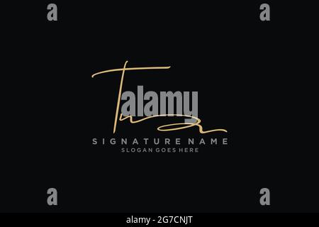 TN lettre Signature logo Template Design élégant logo Sign symbole modèle icône vectorielle Illustration de Vecteur